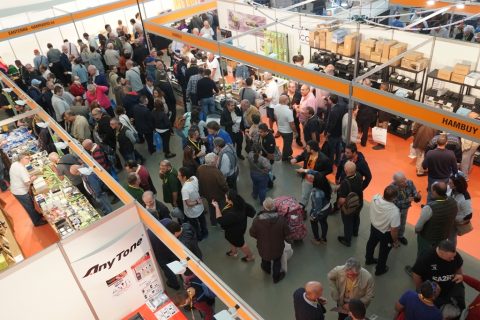 IberRadio 2017